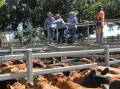 On the right of Blackall GDL manager Jack Burgess selling pens at a Blackall cattle sale in 2017, Ann Russell has been a constant backstop. Picture: Sally Gall