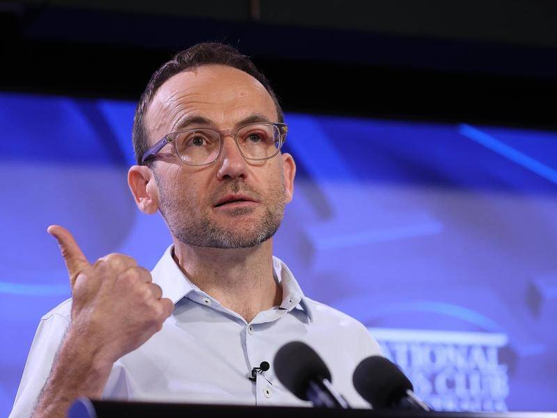 "Australia should be a nation that manufactures things again," Greens leader Adam Bandt says.